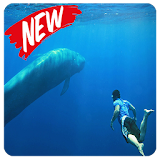 تحدي الحوت الأزرق icon