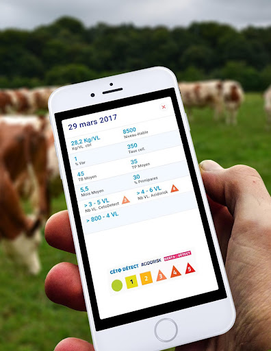 Breeder Screen 2