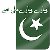 Pakistani national anthem mp3 icon