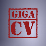 A perfect resume with giga-cv icon
