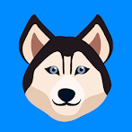 Dog Quiz - Guess the Breed!