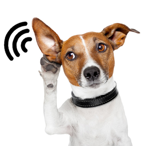 Animal Sounds for Kids