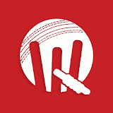 Cricket Buzz - live score fast icon