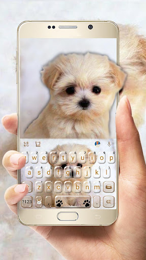 Android application Innocent Puppy Keyboard Theme screenshort