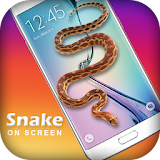 Snake Screen : Joke icon