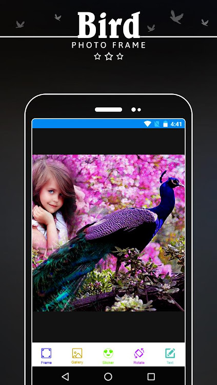 Bird Photo Frame - 1.0.1 - (Android)