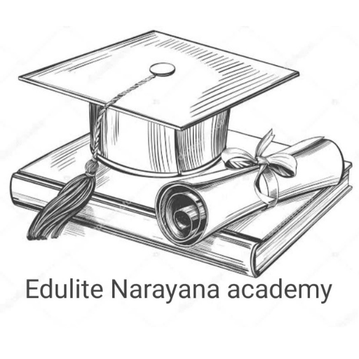 Narayana academy logo