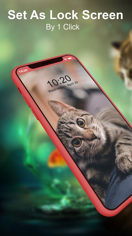 Lively Cute Cat Wallpaper 4K by DevPro - Technology - (Android ...