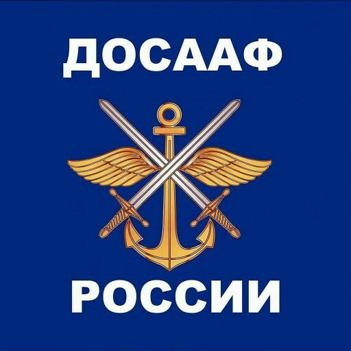 досааф калининград  Icon