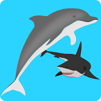 Приключения дельфина