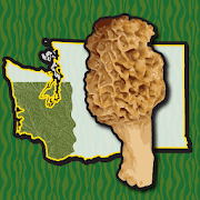 Washington SW Mushroom Forager Map Matsutake Morel