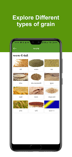 Bulbul Screen 3