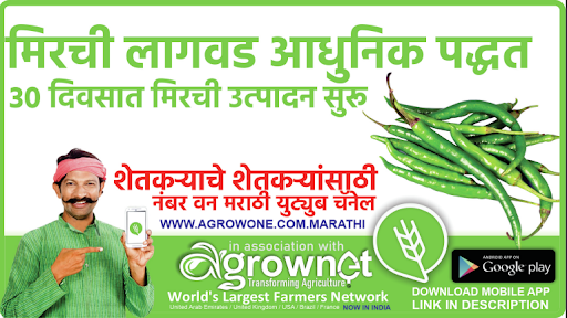 Android application काळी मिरी लागवड #Agrownet™ screenshort