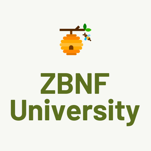 ZBNF University logo