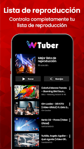 Reproductor de Vídeo - wTuber