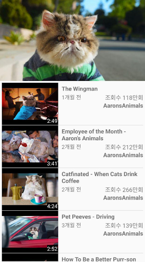 EASY TUBE: CAT Screen 3