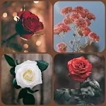 Cover Image of डाउनलोड Flowers Wallpapers 9.8 APK