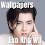 Exo Kris Wu Wallpaper