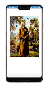 Captura de Pantalla 1 Novena a San Francisco de Asís android