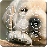 Labrador Puppy Screen Lock icon