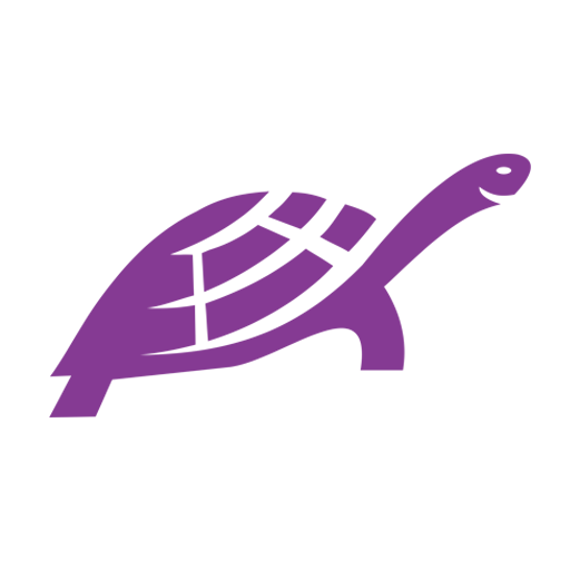 Turtle Finmart Portfolio logo
