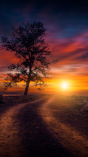 Android application Sunset Wallpaper screenshort