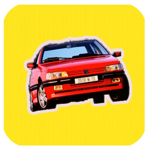 Preview For Peugeot 405