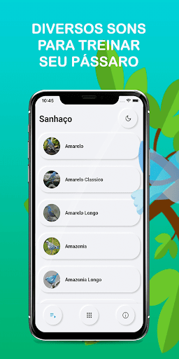 Android application Cornish bird calls screenshort