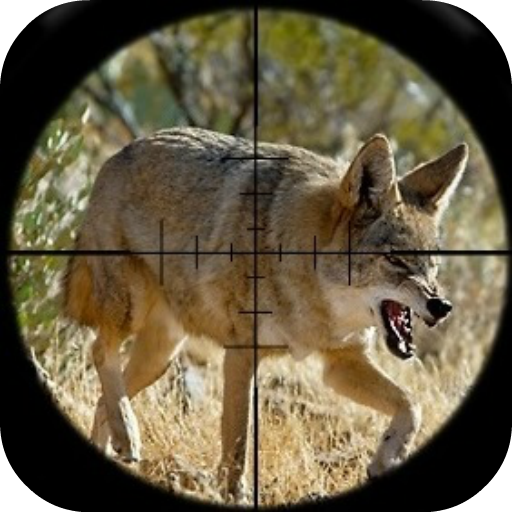 Coyote Hunting Calls 3.0 Icon