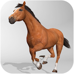 Cover Image of Download Horse Simulator 3D 1.0.3 APK