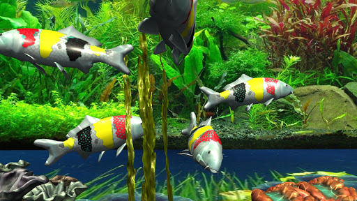 Download 3D Koi Special Live Wallpaper Pro Free for Android - 3D Koi  Special Live Wallpaper Pro APK Download 