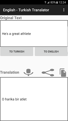English - Turkish Translator Screen 3