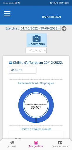 Expertise Conseil Audit Screen 3