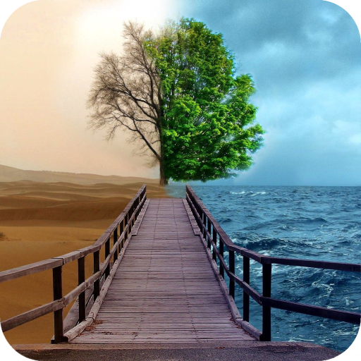 Creative Wallpaper Best 4K