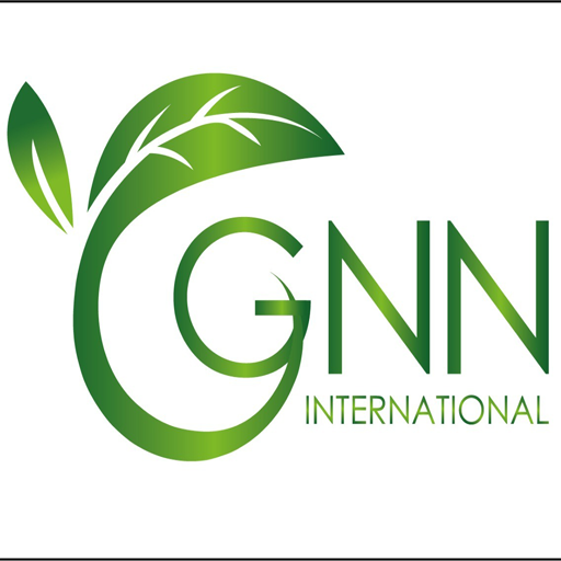 Gnn Kimya logo