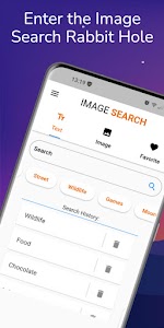 Image Search Pro HD Downloader 2.4.3