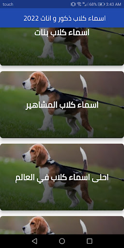 2022 اسماء كلاب