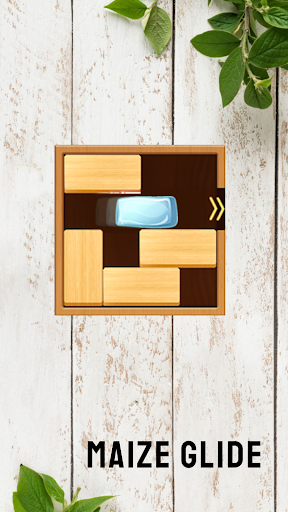 Maze Glide Screen 2