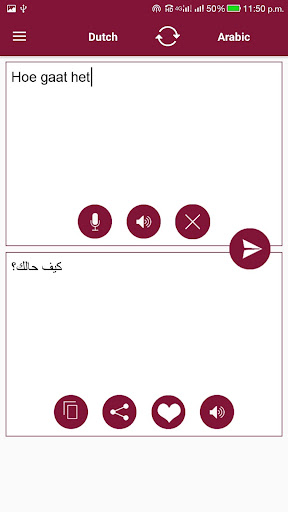 Arabic - Dutch Translator Screen 3
