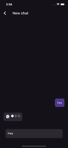 ChatBot IQ Screen 3