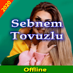 Cover Image of ダウンロード Sebnem Tovuzlu 2020  APK