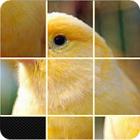 Pictures Puzzle Best Game