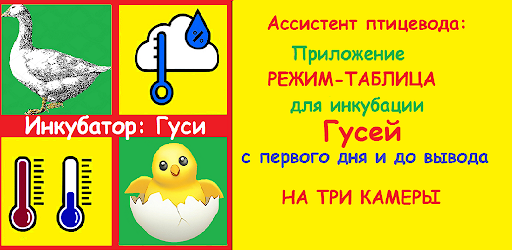 Инкубатор- гуси. Режим инкубирования, таблица. Android App