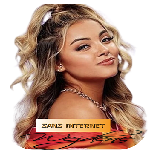 Wejdene Sans internet logo
