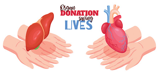 Android application Organ and Tissue Donation screenshort
