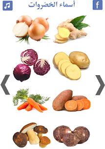 تعليم اسماء الخضروات | انواع الخضروات 4