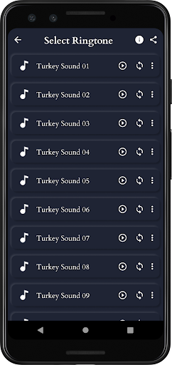 Turkey Sounds Screen 3