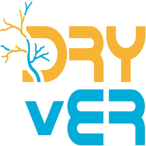 DryRivers logo