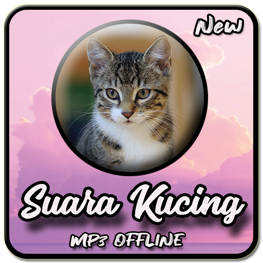 Suara Kucing Terbaru Offline Pour Android Apk Telecharger
