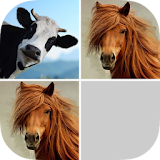 Guess Farm Animal Pair icon